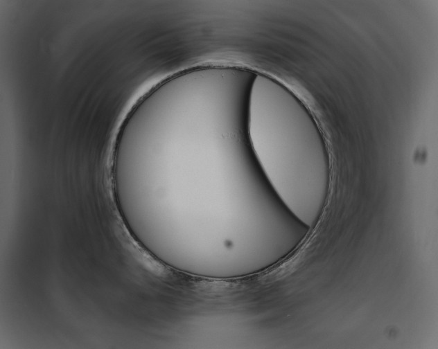 X0000102491248200808081321