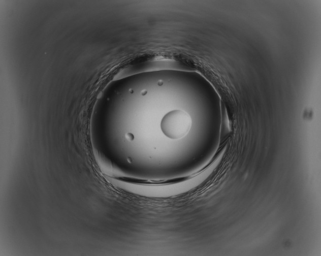 X0000102491249200808081320