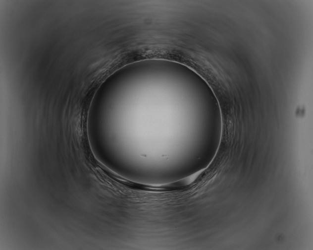 X0000102491250200808081320