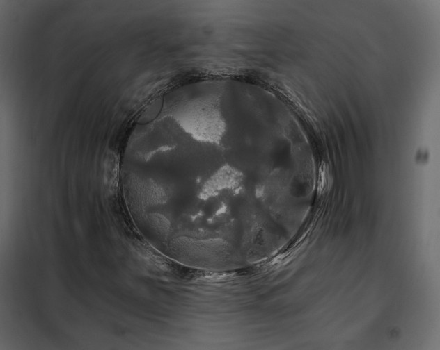 X0000102491251200808081320