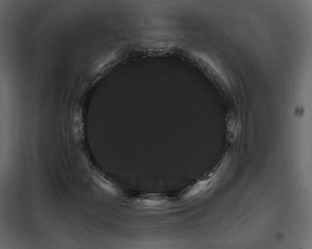 X0000102491252200808081320