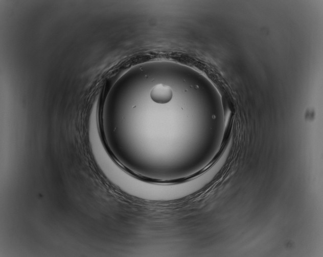 X0000102491253200808081320