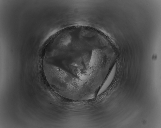 X0000102491255200808081320
