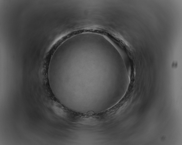 X0000102491256200808081320