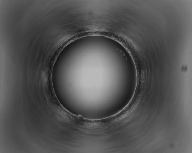 X0000102491257200808081320