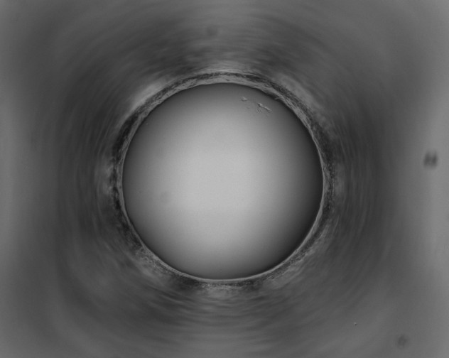 X0000102491258200808081320