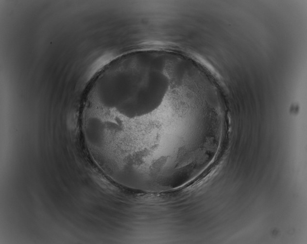 X0000102491259200808081320