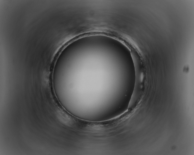 X0000102491260200808081320