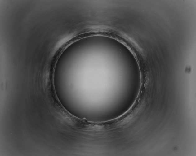 X0000102491261200808081320