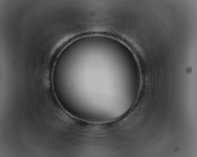 X0000102491262200808081320
