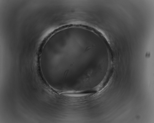 X0000102491263200808081320