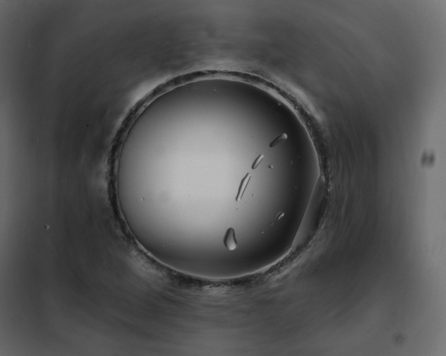 X0000102491264200808081320
