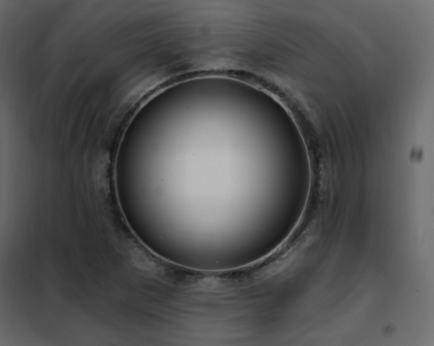 X0000102491265200808081320
