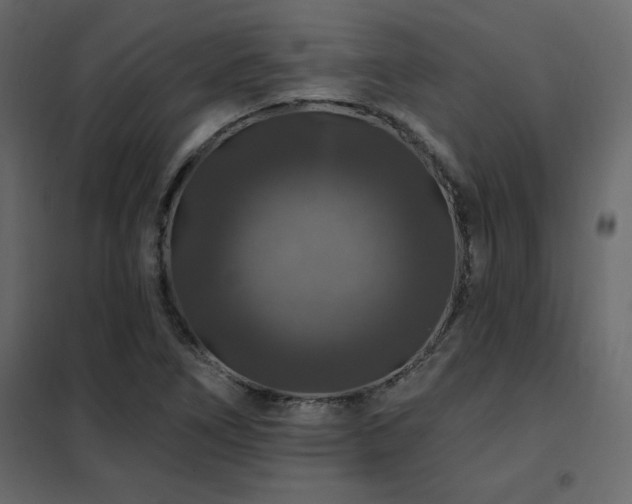 X0000102491266200808081320