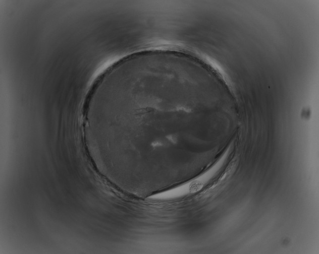 X0000102491267200808081320