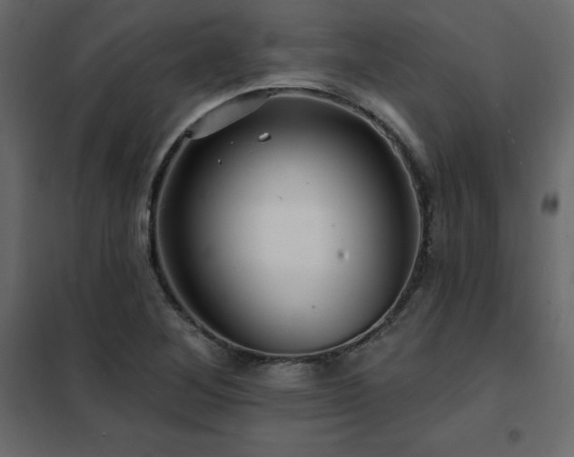 X0000102491268200808081320