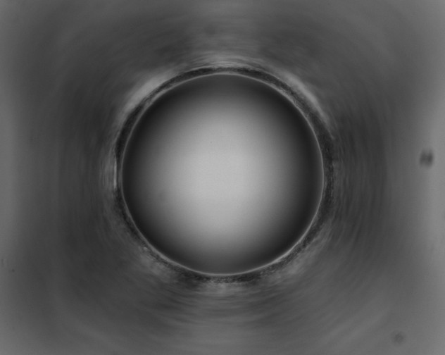 X0000102491269200808081320