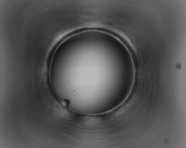 X0000102491270200808081320
