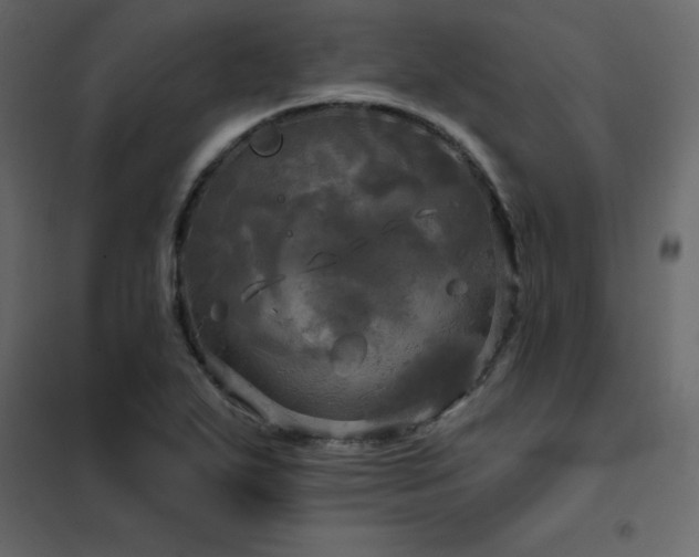X0000102491271200808081320