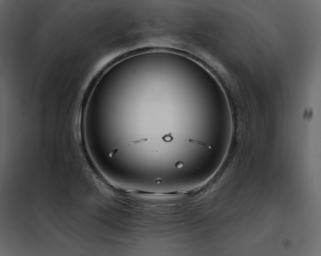 X0000102491272200808081320