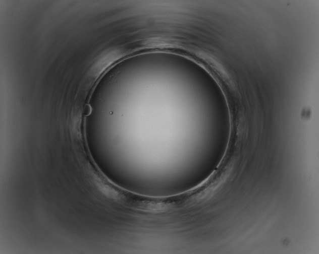 X0000102491273200808081320
