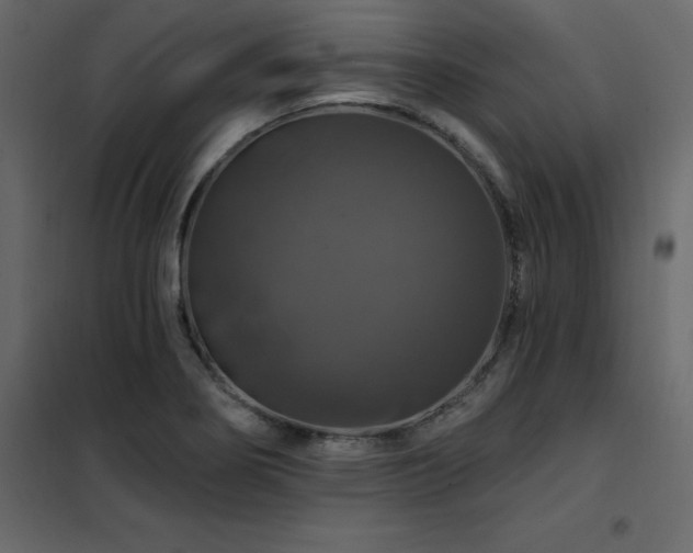 X0000102491274200808081320
