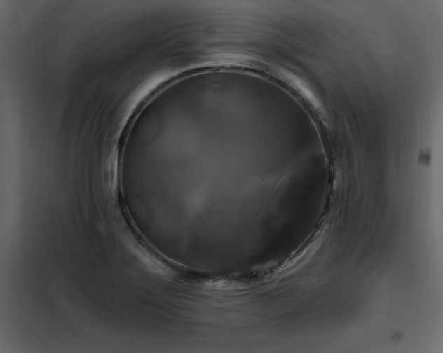 X0000102491275200808081320