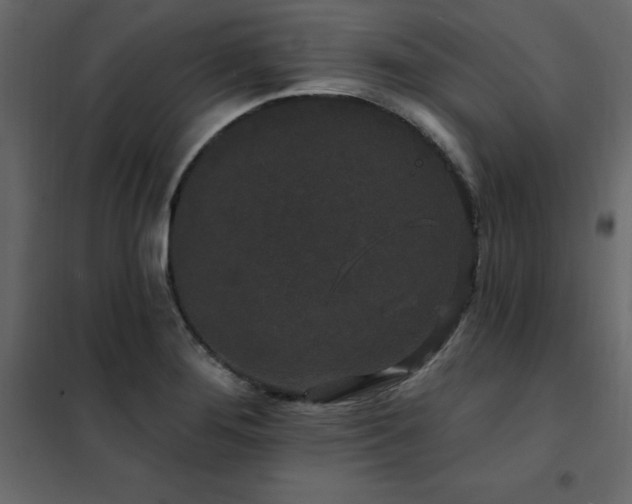 X0000102491276200808081320