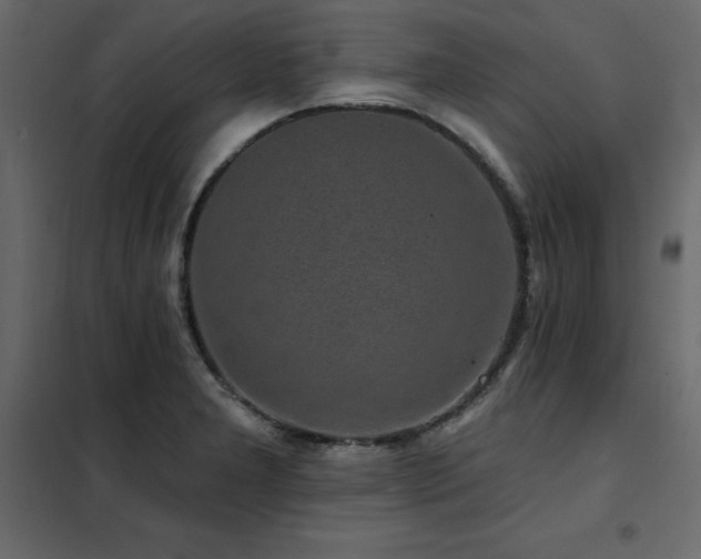 X0000102491277200808081320