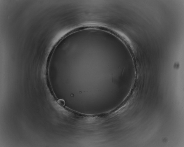 X0000102491279200808081320