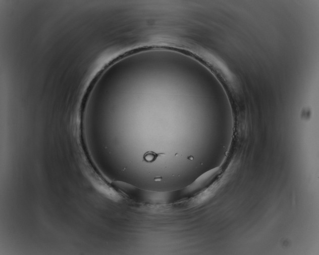 X0000102491280200808081320