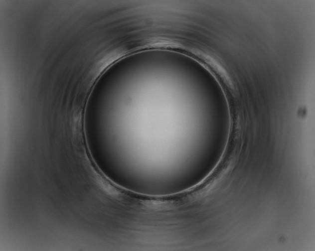 X0000102491281200808081320