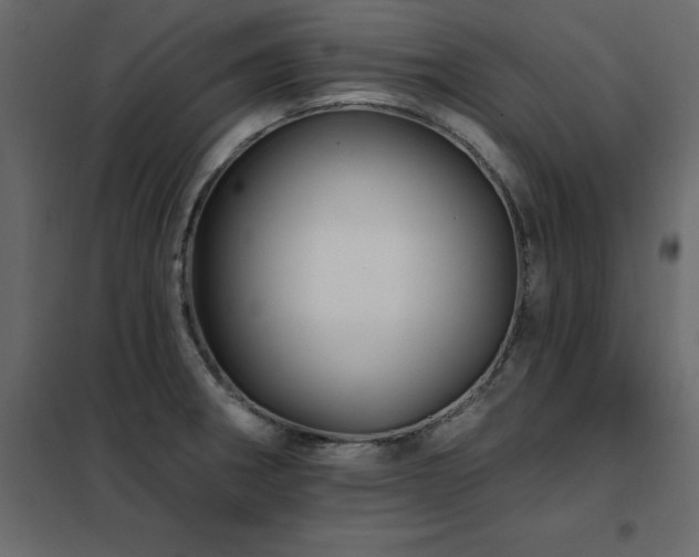 X0000102491282200808081320