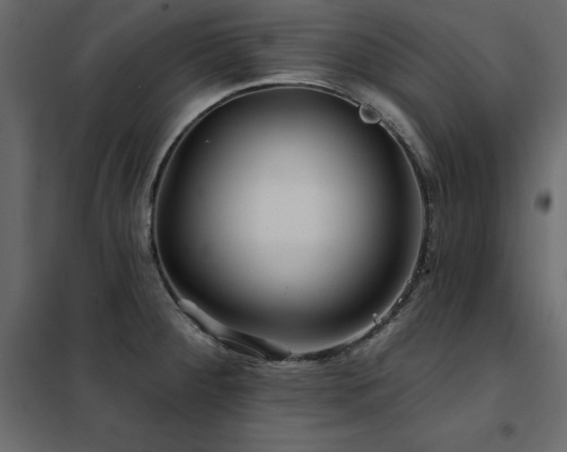 X0000102491284200808081320