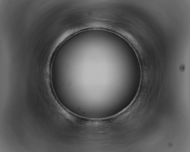 X0000102491286200808081320