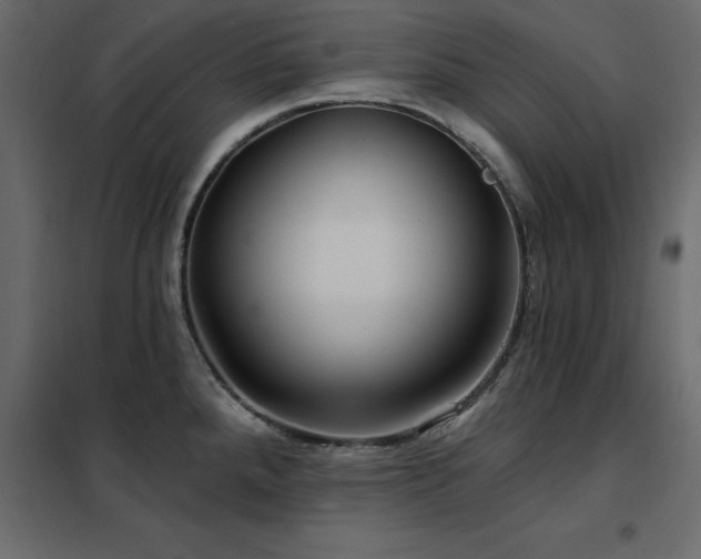 X0000102491288200808081320