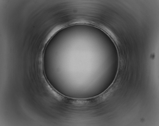 X0000102491290200808081320