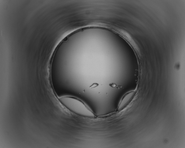 X0000102491292200808081320