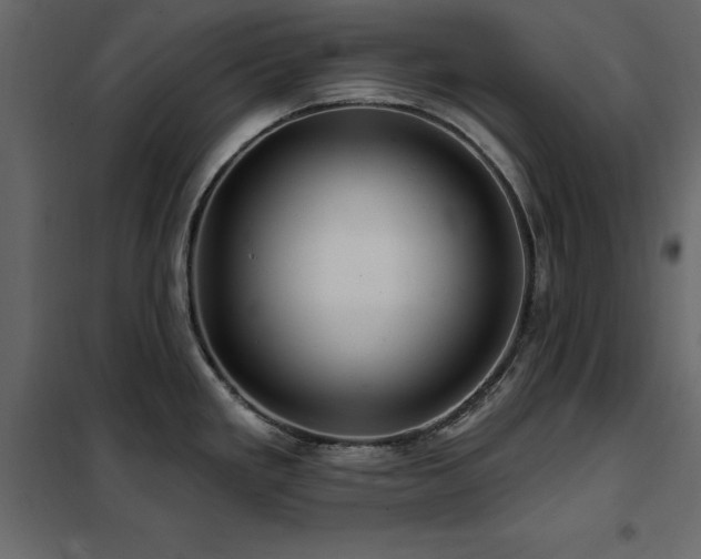 X0000102491293200808081320