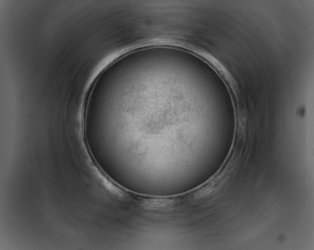 X0000102491294200808081320