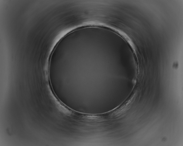 X0000102491295200808081320