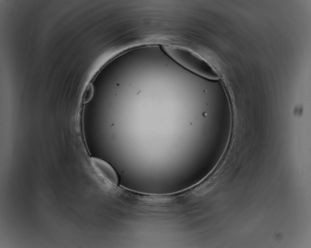 X0000102491296200808081320