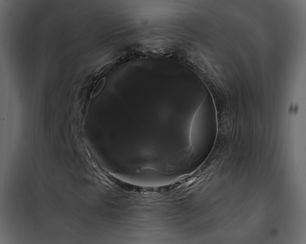 X0000102491297200808081319