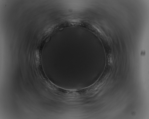 X0000102491298200808081319