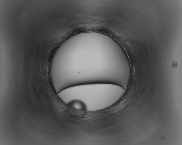 X0000102491300200808081319