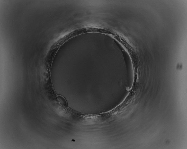 X0000102491303200808081319