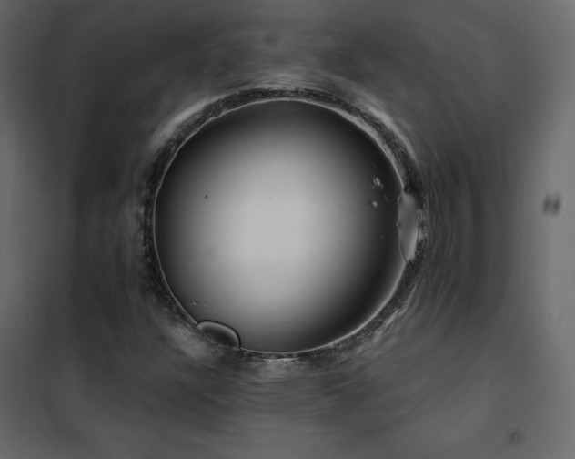 X0000102491304200808081319