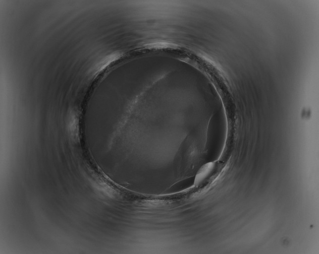 X0000102491305200808081319