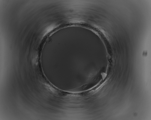 X0000102491306200808081319