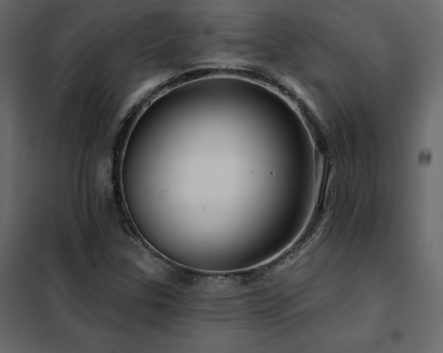 X0000102491307200808081319